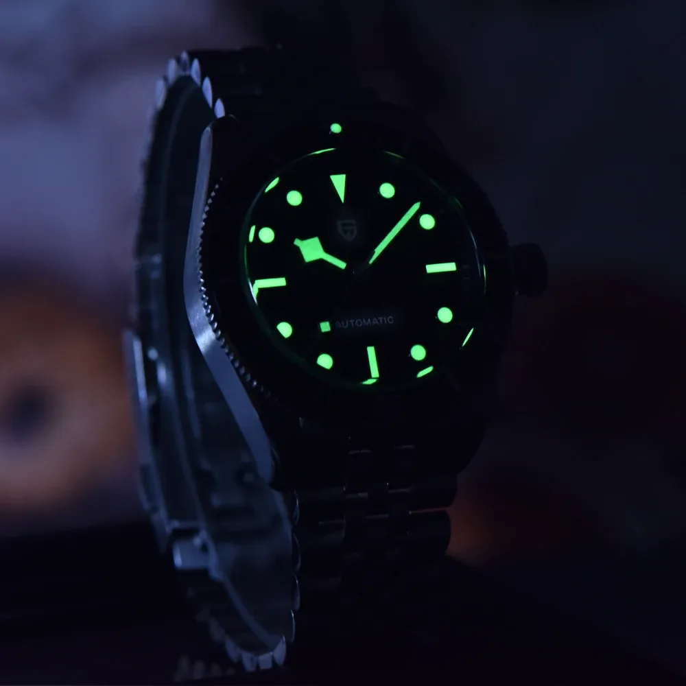 Мъжки ретро механичен часовник PAGANI DESIGN със сапфир и стомана